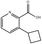 3-Cyclobutylpicolinic acid|1781644-15-2