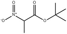 Propanoic acid, 2-nitro-, 1,1-dimethylethyl ester