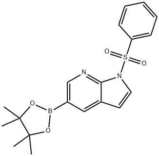 1-(phenylsulfonyl)-5-(4,4,5,5-tetramethyl-1,3,2-dioxaborolan-2-yl)-1H-pyrrolo[2,3-b]pyridine Structure