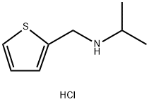 (propan-2-yl)[(thiophen-2-yl)methyl]amine hydrochloride 化学構造式