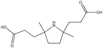  化学構造式