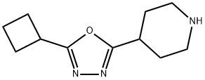 4-(5-Cyclobutyl-1,3,4-oxadiazol-2-yl)piperidine Structure