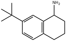 7-TERT-BUTYL-1,2,3,4-TETRAHYDRONAPHTHALEN-1-AMINE Struktur