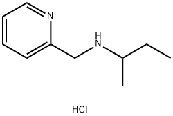 (butan-2-yl)[(pyridin-2-yl)methyl]amine dihydrochloride Struktur