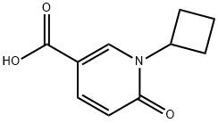 1-シクロブチル-6-オキソ-1,6-ジヒドロピリジン-3-カルボン酸 化学構造式