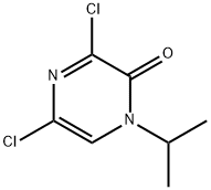 3,5-Dichloro-1-isopropyl-1H-pyrazin-2-one Structure