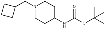 TERT-ブチル 1-(シクロブチルメチル)ピペリジン-4-イルカルバメート 化学構造式