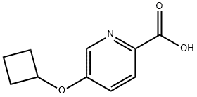 5-Cyclobutoxypyridine-2-carboxylic acid