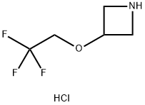 3-(2,2,2-trifluoroethoxy)azetidine hydrochloride Structure