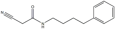 2-氰基-N-(4-苯基丁基)乙酰胺-, 133550-40-0, 结构式