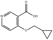 4-(Cyclopropylmethoxy)pyridine-3-carboxylic acid