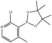 2-chloro-4-methyl-3-(4,4,5,5-tetramethyl-1,3,2-dioxaborolan-2-yl)pyridine Struktur