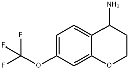 7-(TRIFLUOROMETHOXY)CHROMANE-4-YLAMINE Struktur