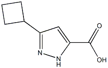 3-cyclobutyl-1H-pyrazole-5-carboxylic acid Struktur