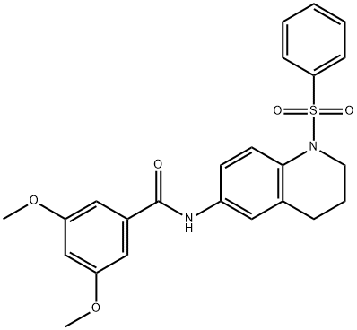 N-[1-(benzenesulfonyl)-3,4-dihydro-2H-quinolin-6-yl]-3,5-dimethoxybenzamide 结构式