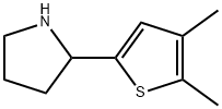 2-(4,5-dimethyl-2-thienyl)pyrrolidine 化学構造式