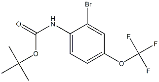 叔丁基(2-溴-4-(三氟甲氧基)苯基)氨基甲酸酯, 1057720-35-0, 结构式