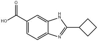 2-cyclobutyl-1H-benzo[d]imidazole-5-carboxylic acid Structure