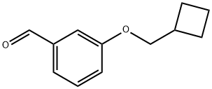 3-Cyclobutylmethoxy-benzaldehyde Structure