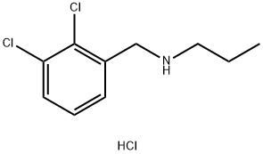 [(2,3-dichlorophenyl)methyl](propyl)amine hydrochloride 化学構造式