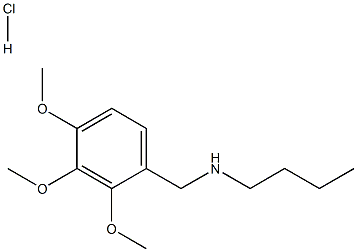 butyl[(2,3,4-trimethoxyphenyl)methyl]amine hydrochloride Struktur