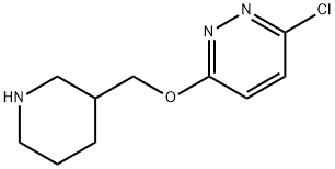 3-chloro-6-(piperidin-3-ylmethoxy)pyridazine 化学構造式