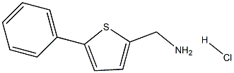 (5-苯基噻吩-2-基)甲胺盐酸,1216555-30-4,结构式