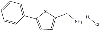 (5-phenylthiophen-2-yl)methanamine hydrochloride|(5-苯基噻吩-2-基)甲胺盐酸