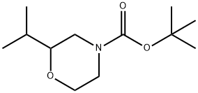tert-butyl 2-isopropylmorpholine-4-carboxylate 结构式