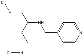 (butan-2-yl)[(pyridin-4-yl)methyl]amine dihydrochloride, 1240568-17-5, 结构式
