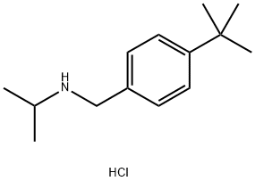 [(4-tert-butylphenyl)methyl](propan-2-yl)amine hydrochloride, 1240568-26-6, 结构式