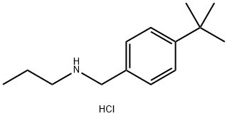 [(4-tert-butylphenyl)methyl](propyl)amine hydrochloride,1240571-18-9,结构式