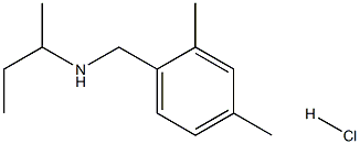 (butan-2-yl)[(2,4-dimethylphenyl)methyl]amine hydrochloride Structure