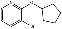 3-BROMO-2-CYCLOPENTYLOXYPYRIDINE, 1247429-75-9, 结构式