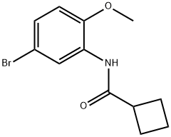 N-(5-溴-2-甲氧基苯基)环丁烷甲酰胺,1249441-25-5,结构式