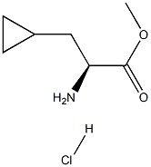 R-3-Cyclopropylalanine methyl ester hydrochloride 化学構造式