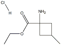 ETHYL 1-AMINO-3-METHYLCYCLOBUTANECARBOXYLATE HCL Struktur