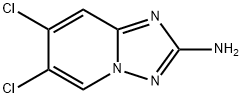 6,7-dichloro-[1,2,4]triazolo[1,5-a]pyridin-2-amine|6,7-dichloro-[1,2,4]triazolo[1,5-a]pyridin-2-amine