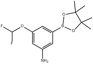 3-(二氟甲氧基)-5-(4,4,5,5-四甲基-1,3,2-二氧苯并呋喃-2-基)苯胺,1269233-12-6,结构式