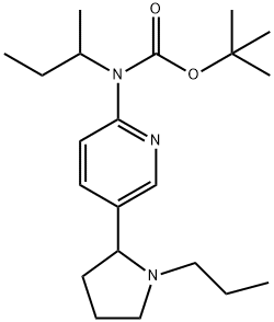 sec-Butyl-[5-(1-propyl-pyrrolidin-2-yl)-pyridin-2-yl]-carbamic acid tert-butyl ester|