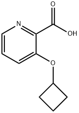 3-Cyclobutoxypyridine-2-carboxylic acid Structure