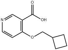 4-(Cyclobutylmethoxy)pyridine-3-carboxylic acid price.