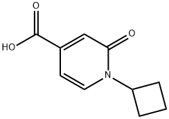 1-シクロブチル-2-オキソ-1,2-ジヒドロピリジン-4-カルボン酸 化学構造式