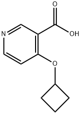 4-シクロブトキシピリジン-3-カルボン酸 化学構造式