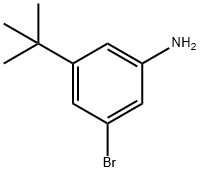3-溴-5-(叔丁基)苯胺 结构式