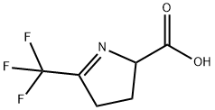 5-(trifluoromethyl)-3,4-dihydro-2H-pyrrole-2-carboxylic acid Structure