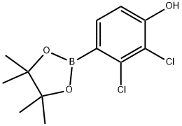 2,3-dichloro-4-(4,4,5,5-tetramethyl-1,3,2-dioxaborolan-2-yl)phenol,1612184-06-1,结构式