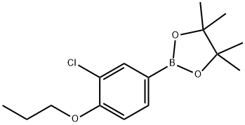 3-CHLORO-4-PROPOXYPHENYLBORONIC ACID PINACOL ESTER 化学構造式