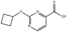 2-Cyclobutoxypyrimidine-4-carboxylic acid Structure