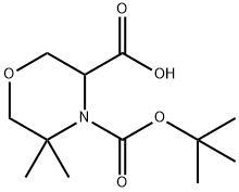 5,5-Dimethyl-morpholine-3,4-dicarboxylic acid 4-tert-butyl ester|